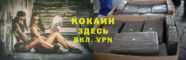сатива Кодинск