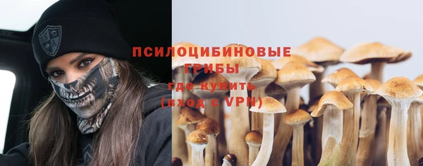 сатива Кодинск